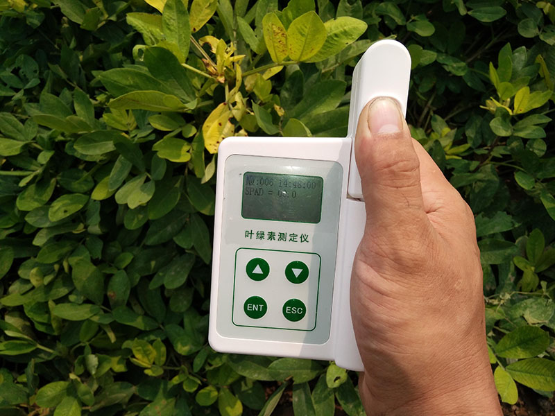 HED-YA植物葉綠素儀，為植物的健康狀況做檢查
